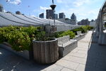 DSC_8669.JPG